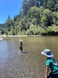 Cheatham Grove near Grizzly Creek Redwoods State Park
