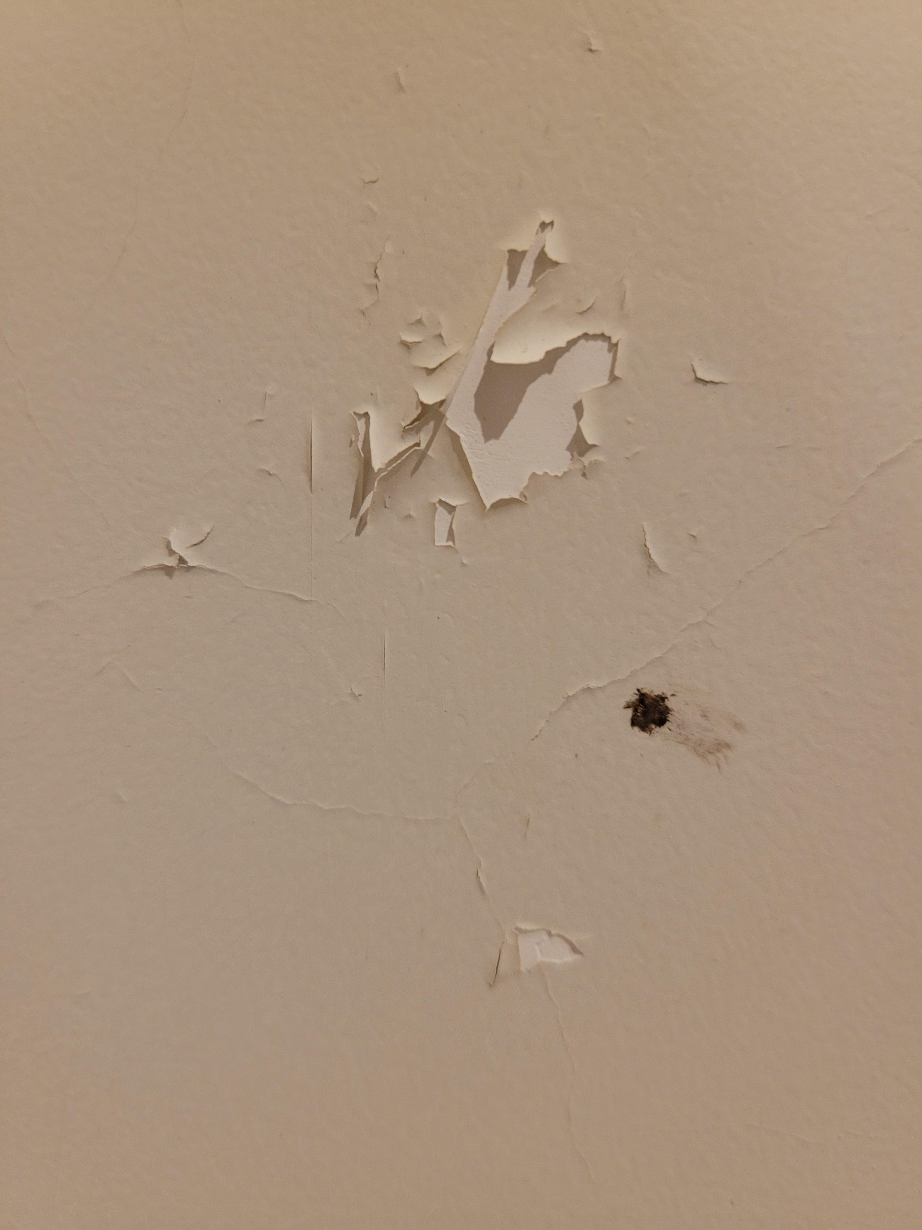 Damaged wals with smashed bugs on walls