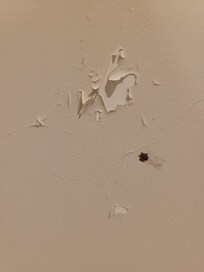 Damaged wals with smashed bugs on walls