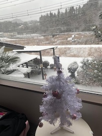 We brought our own little Christmas tree and woke up to this beautiful view!