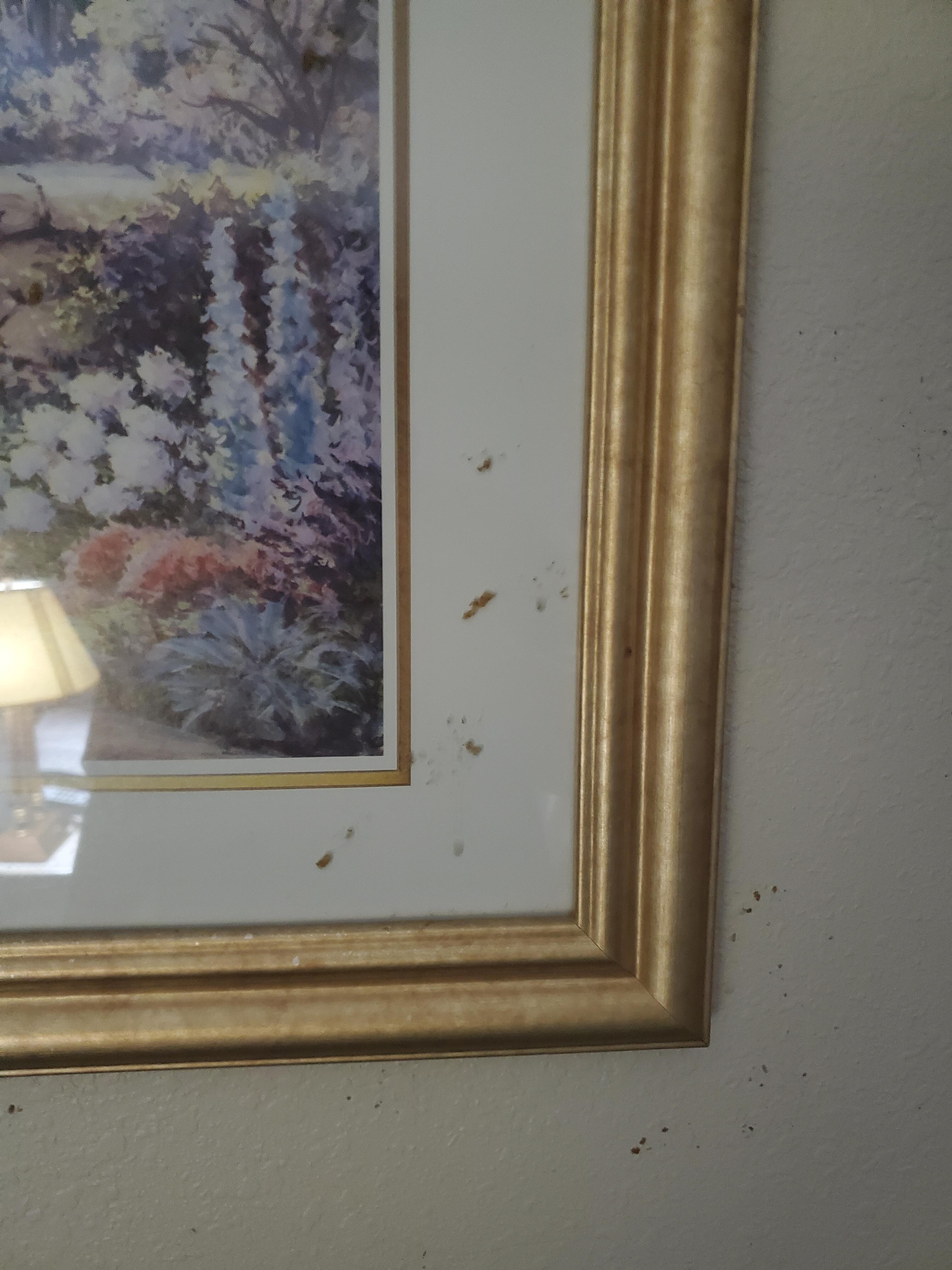 More gross gunk, splattered across a picture frame