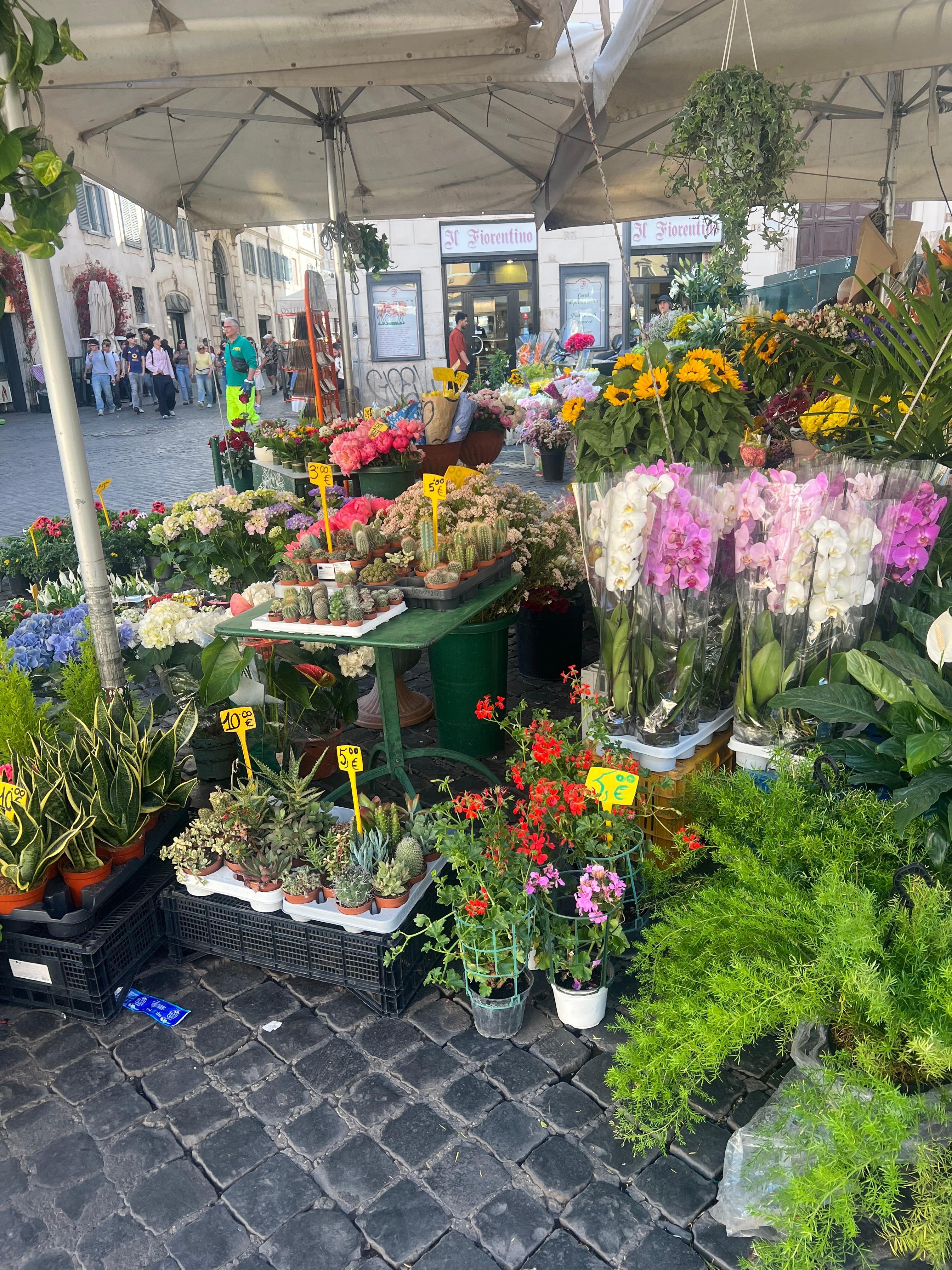 Campo di fiori