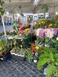 Campo di fiori