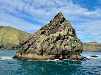 Boat tour to Heimaey Island