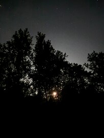 The glow from the moon peeking through the trees & stars all around on a silent, peaceful night.