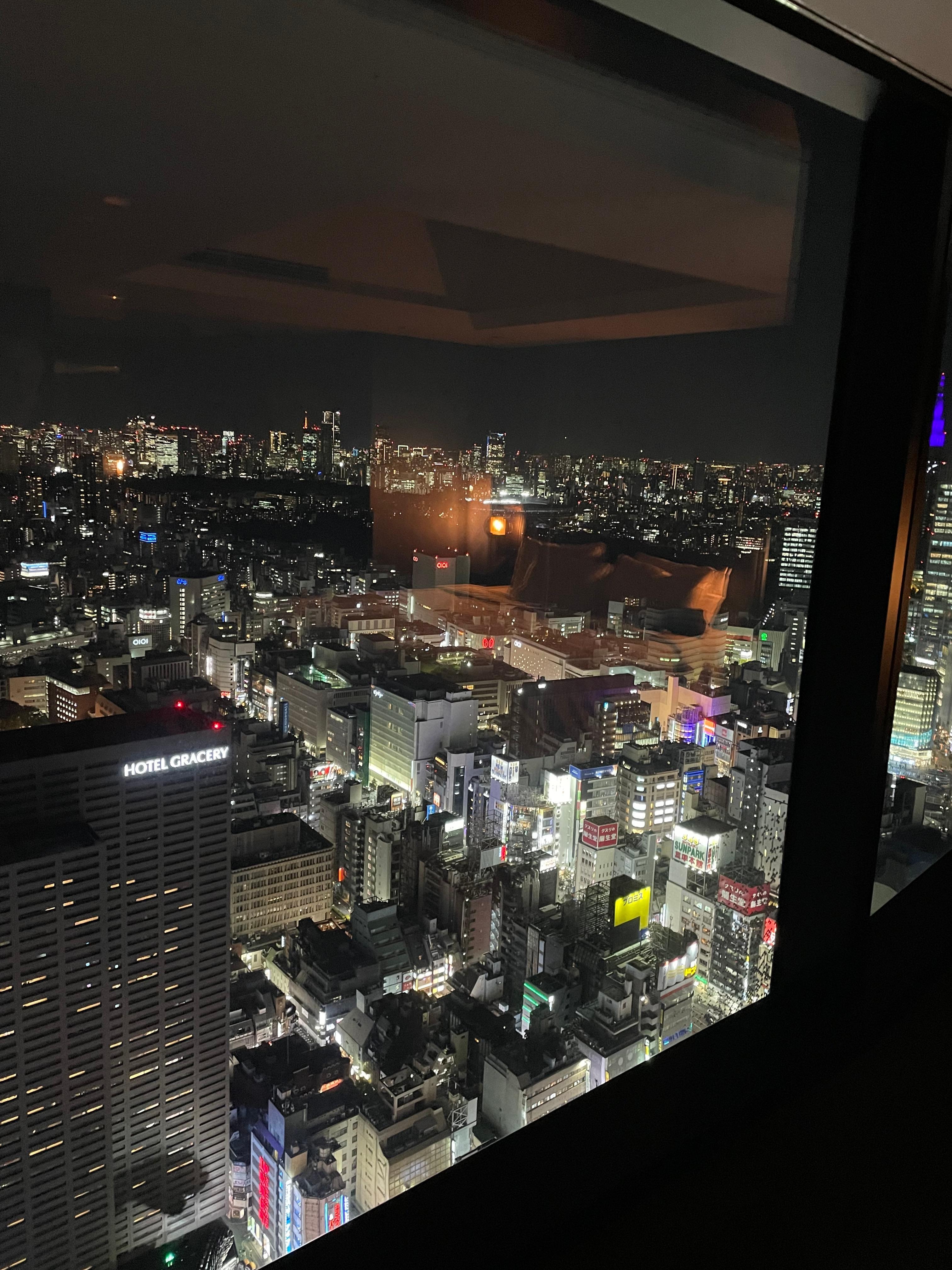 Evening city views from guest room