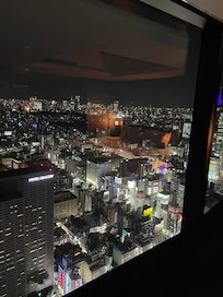 Evening city views from guest room