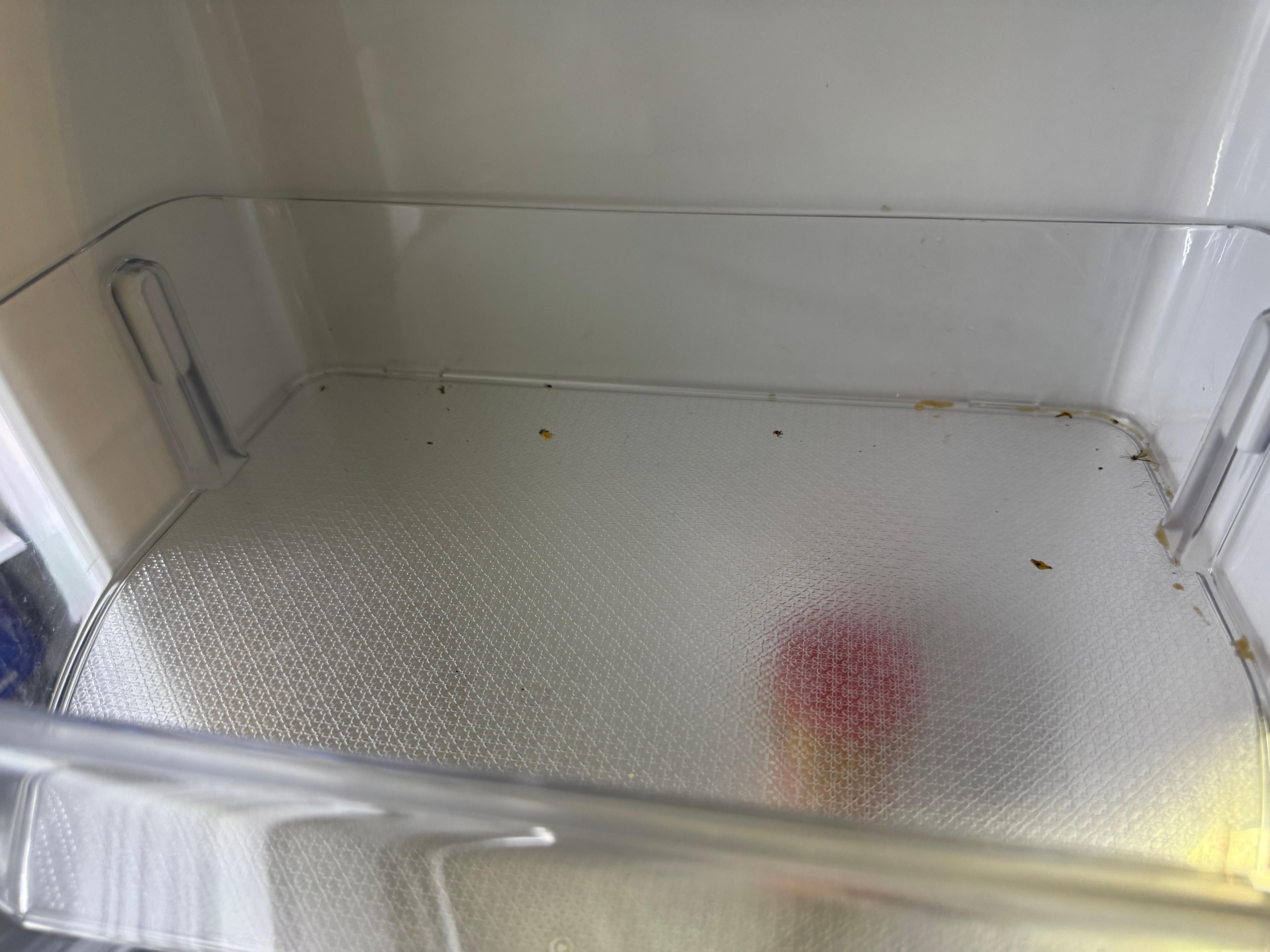 Filthy fridge shelf