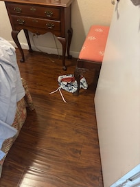Not mine cleaned under bed