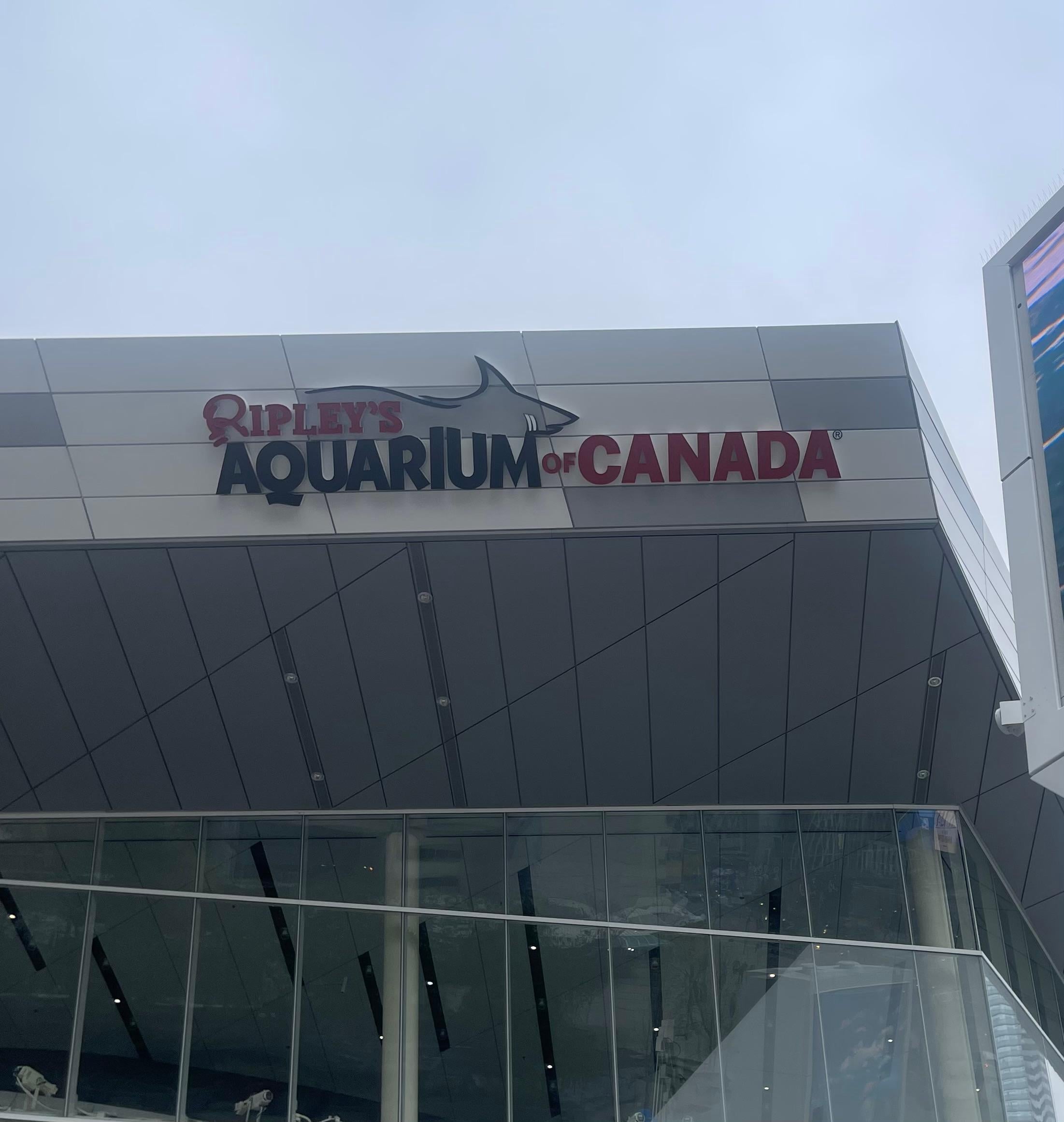 Aquarium 20min walk from hotel 