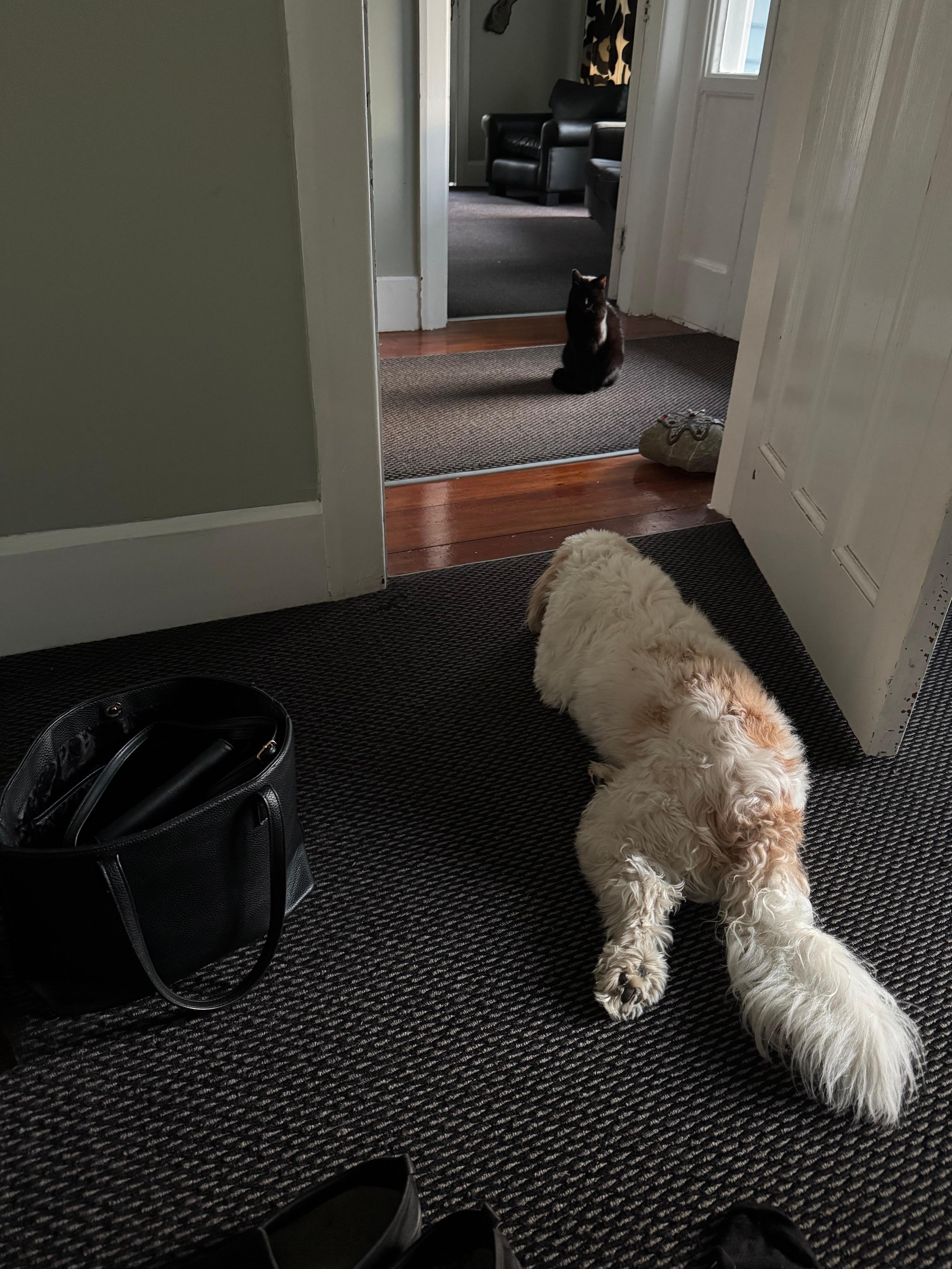 Missy was definitely the boss!