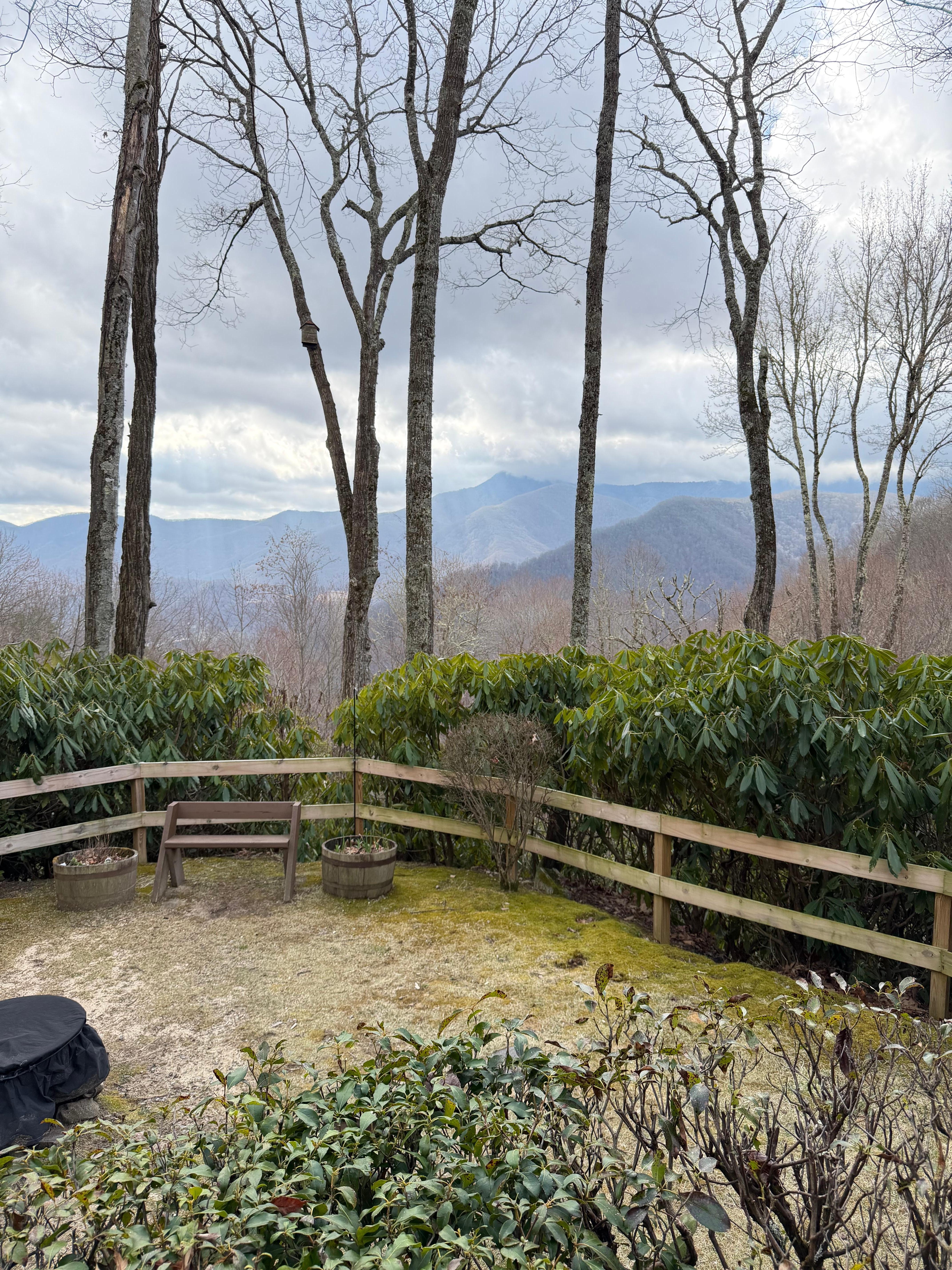 From the porch mid morning