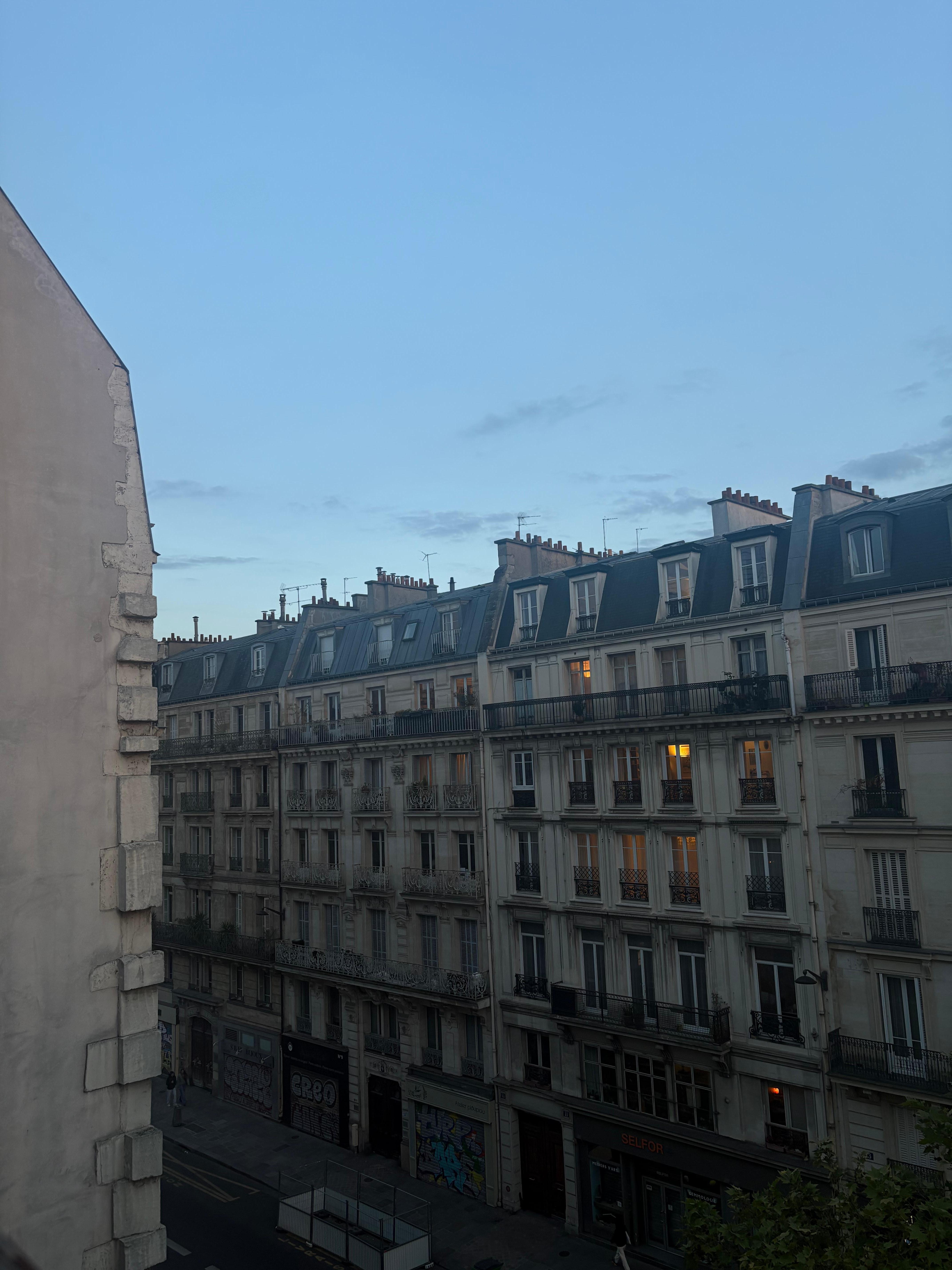 Lovely Parisian view from the window 