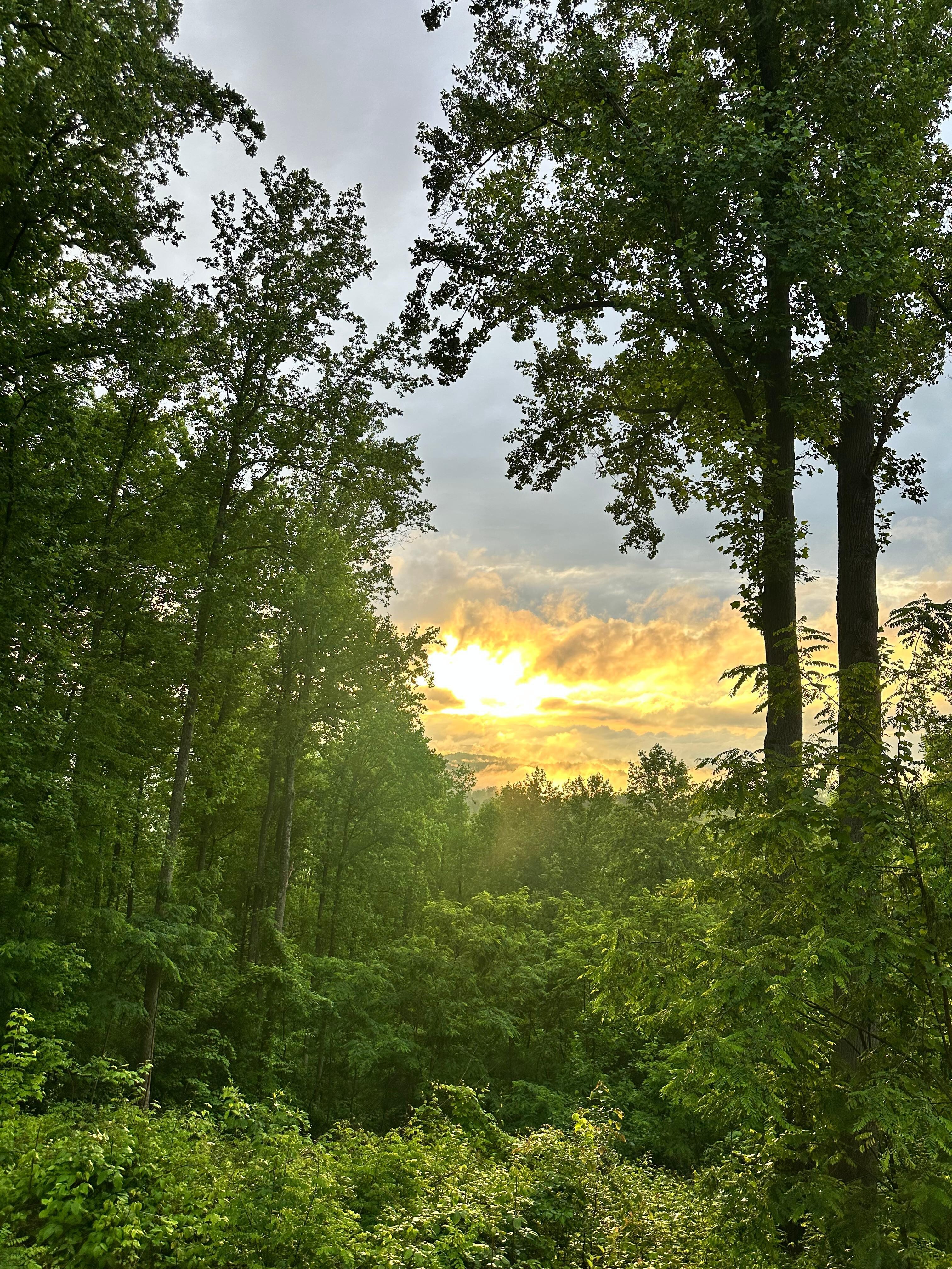 Sunset from back porch 