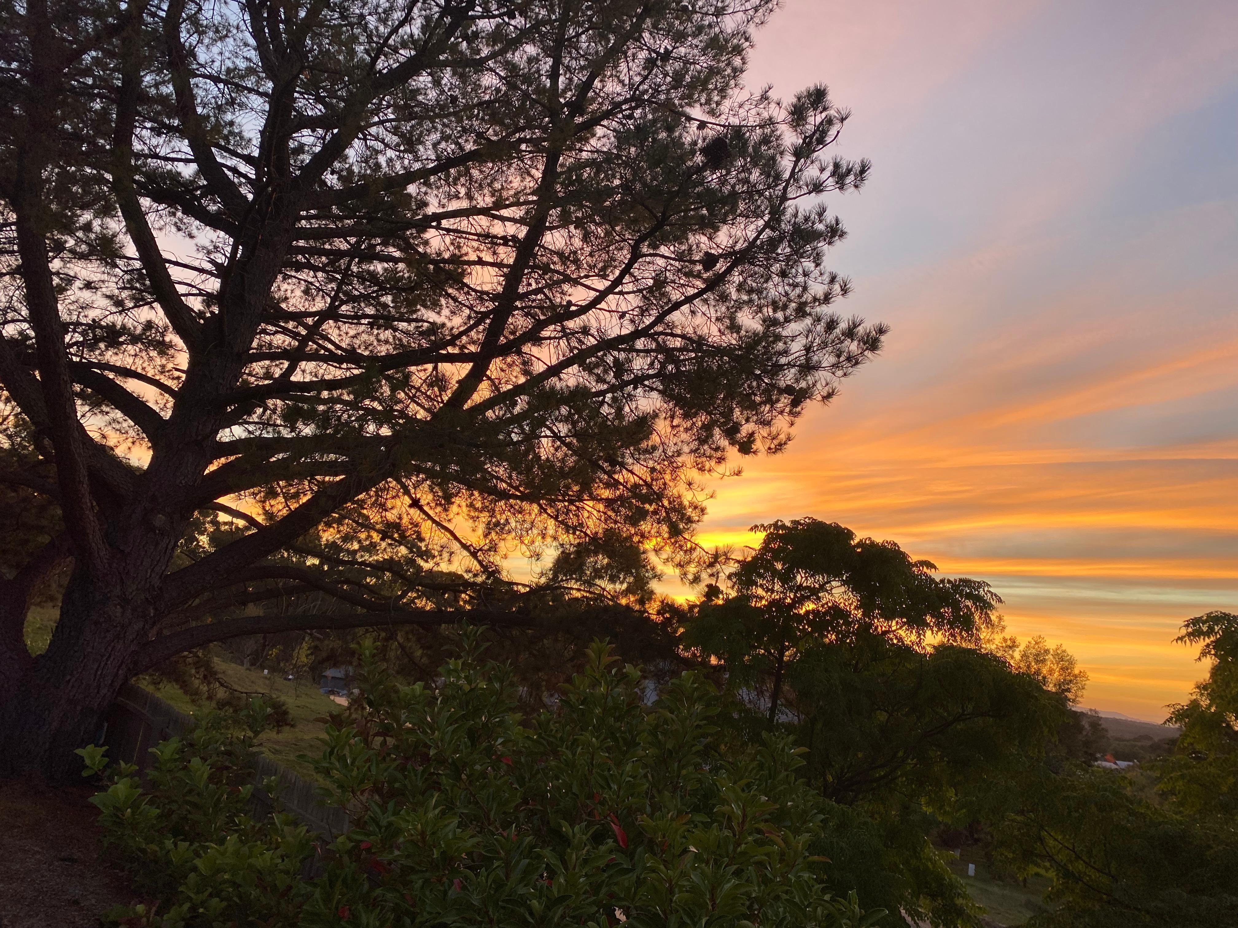 Sunrise from the study