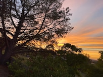 Sunrise from the study