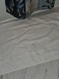 Dirty bathroom  rug
