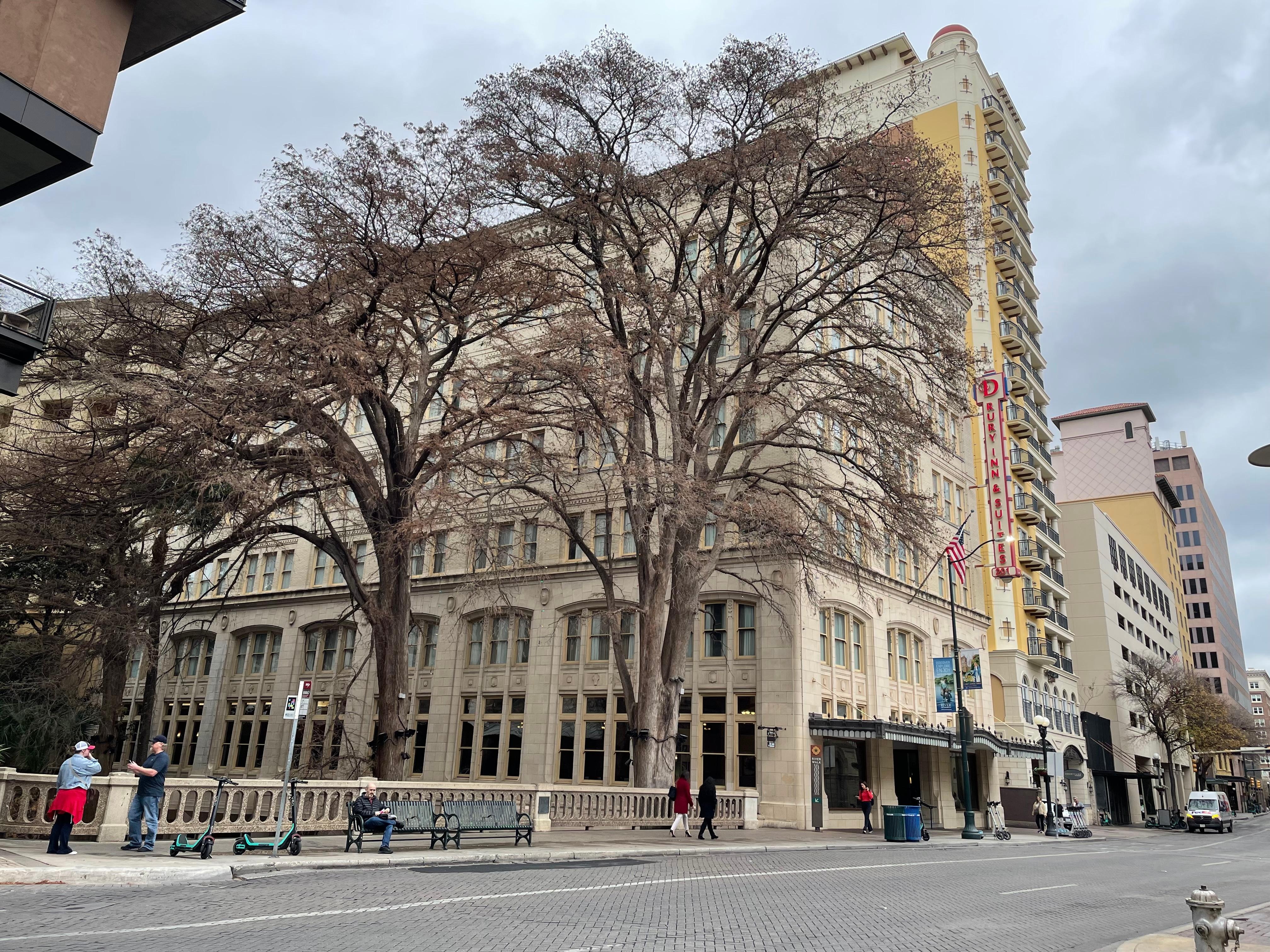 The hotel during the day