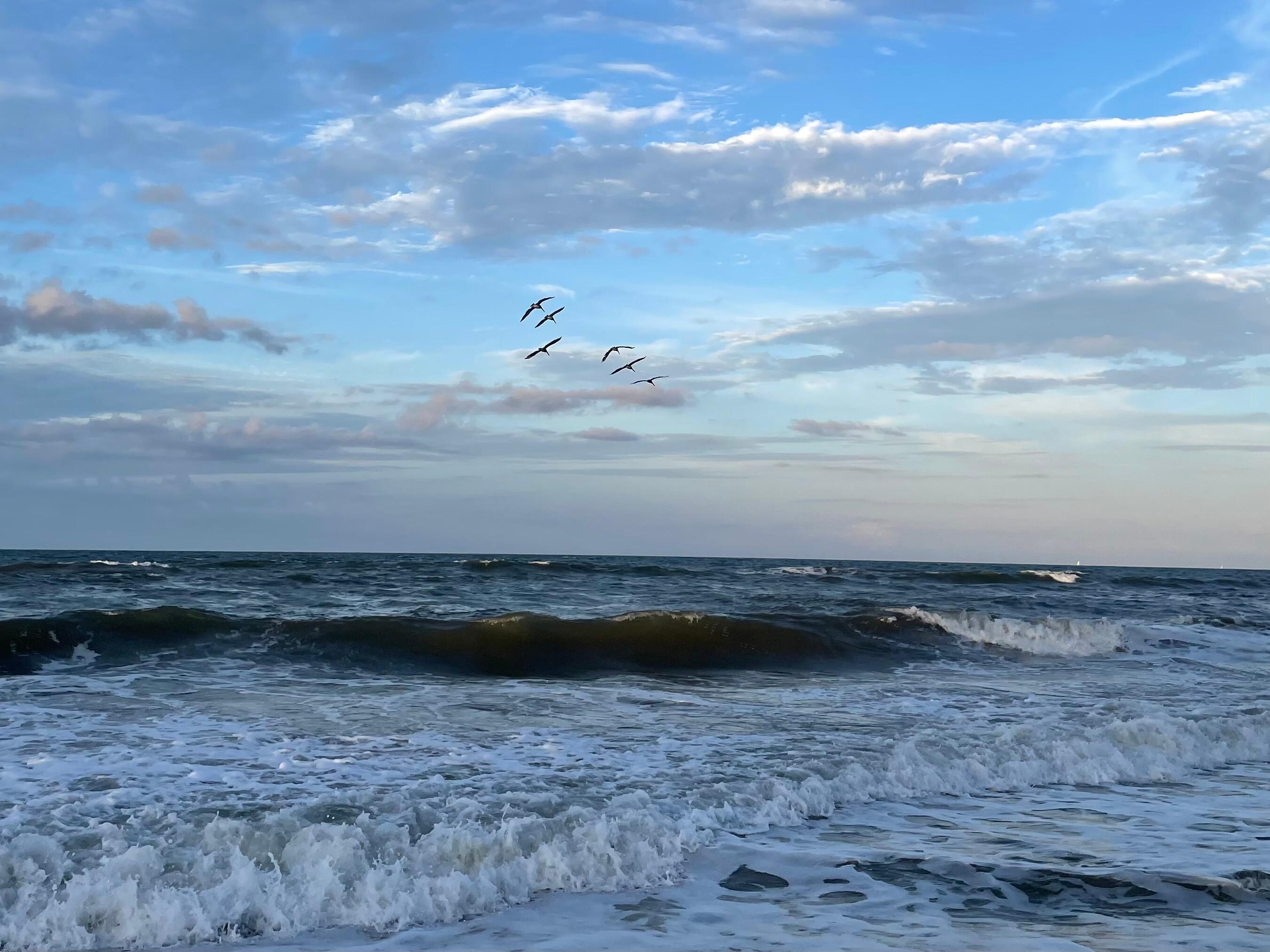 View of beach in back of condo. 