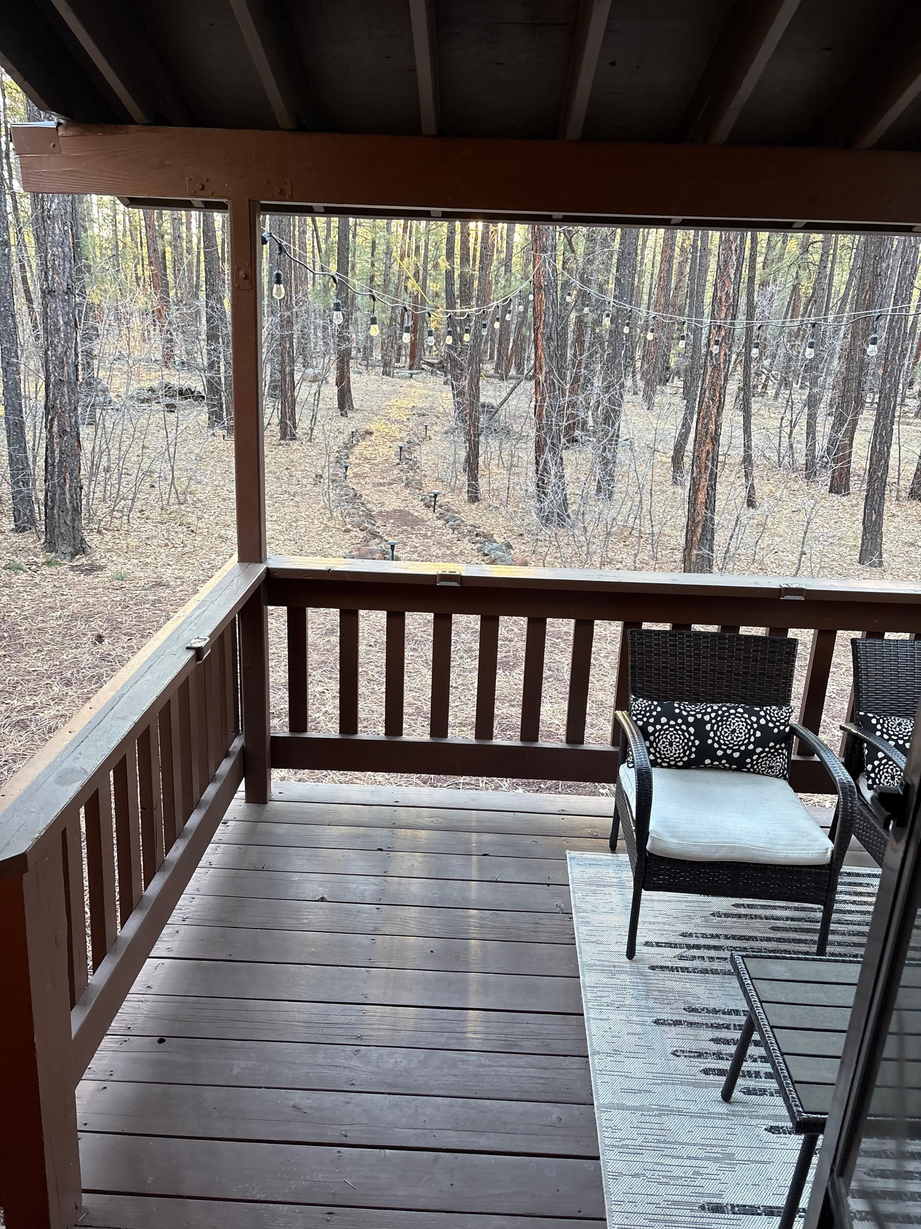 Amazing spot for coffee and nature 