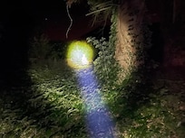 Nachts im Park ein bisschen spooky