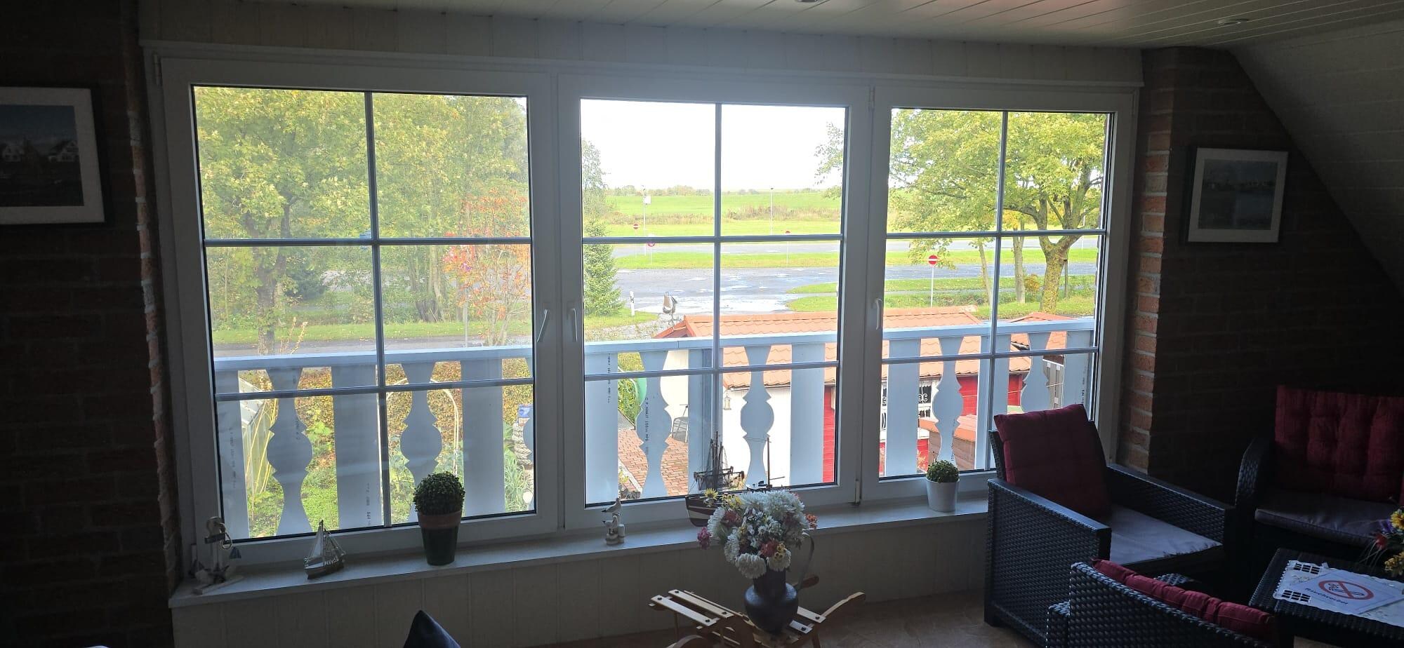 Blick auf den Deich im Hintergrund