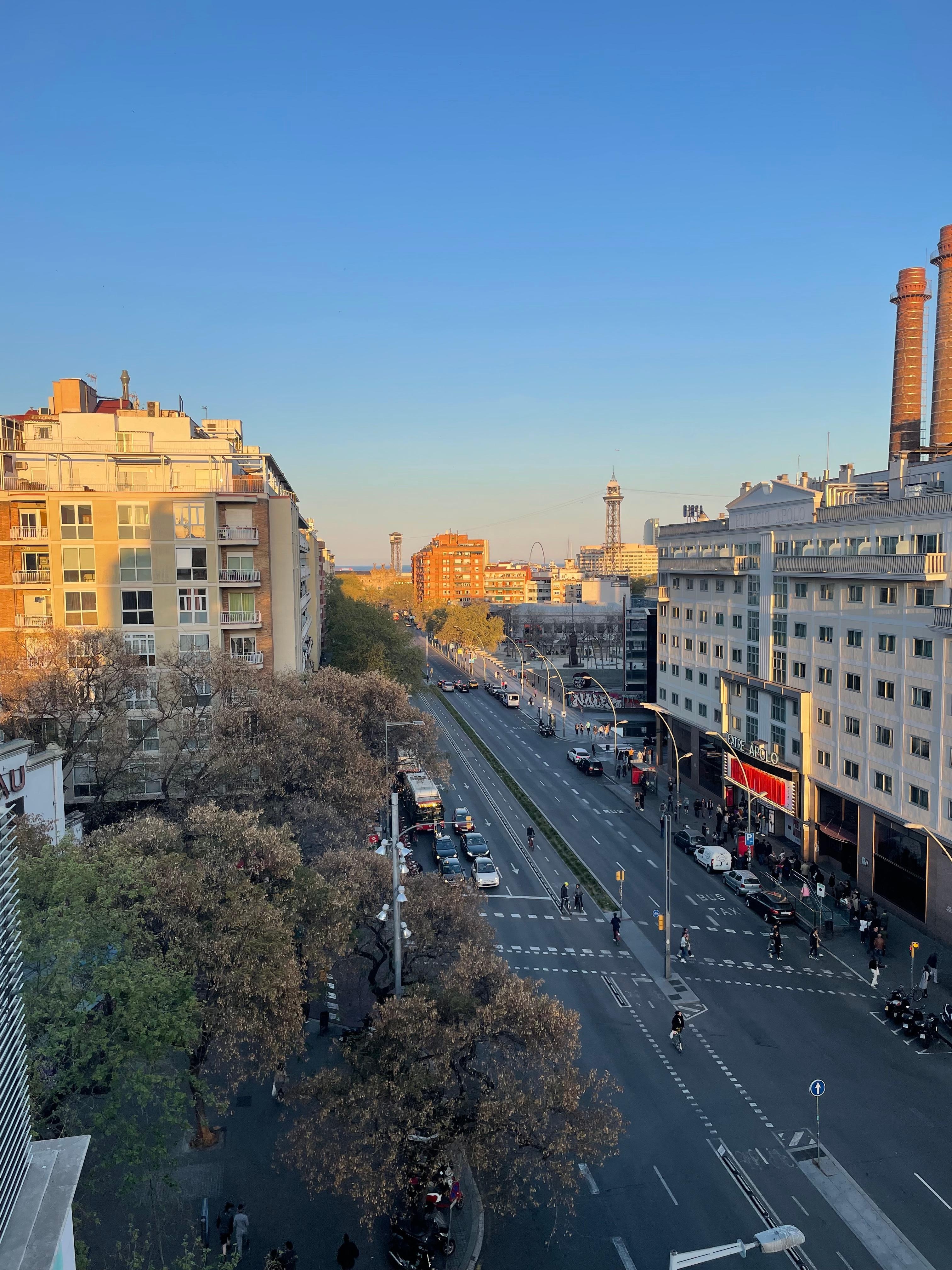 テラスからの眺め