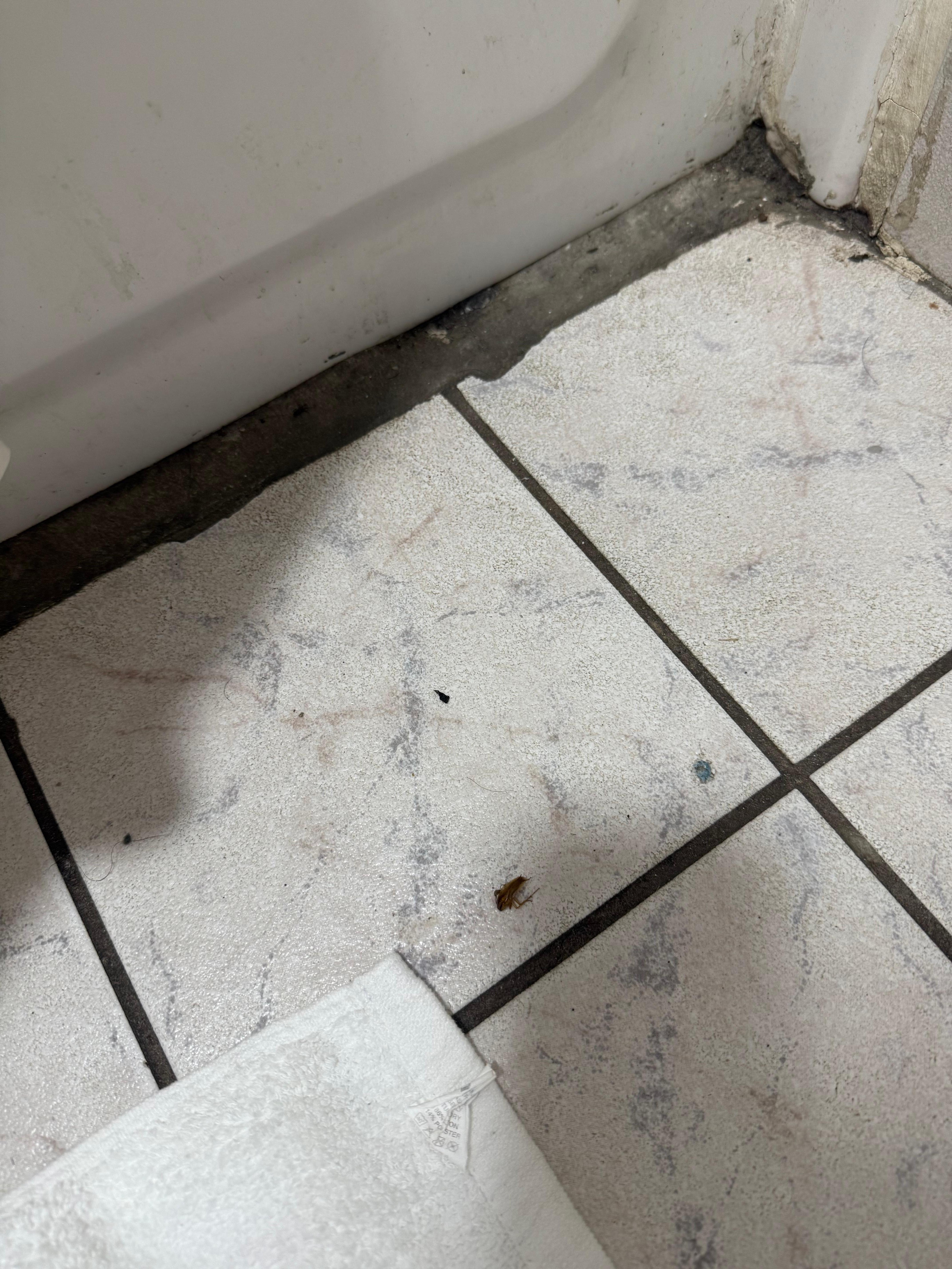 I killed five bugs while I was there