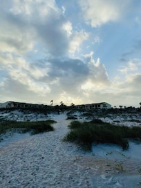 Beach dunes