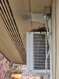 Active bird nest on room ac unit mounted above the bed.