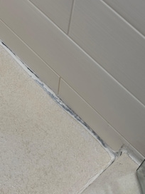 Within the shower basin and wall