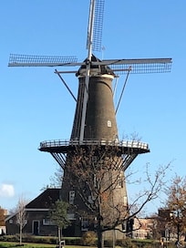 vindmølle i Leiden sentrum