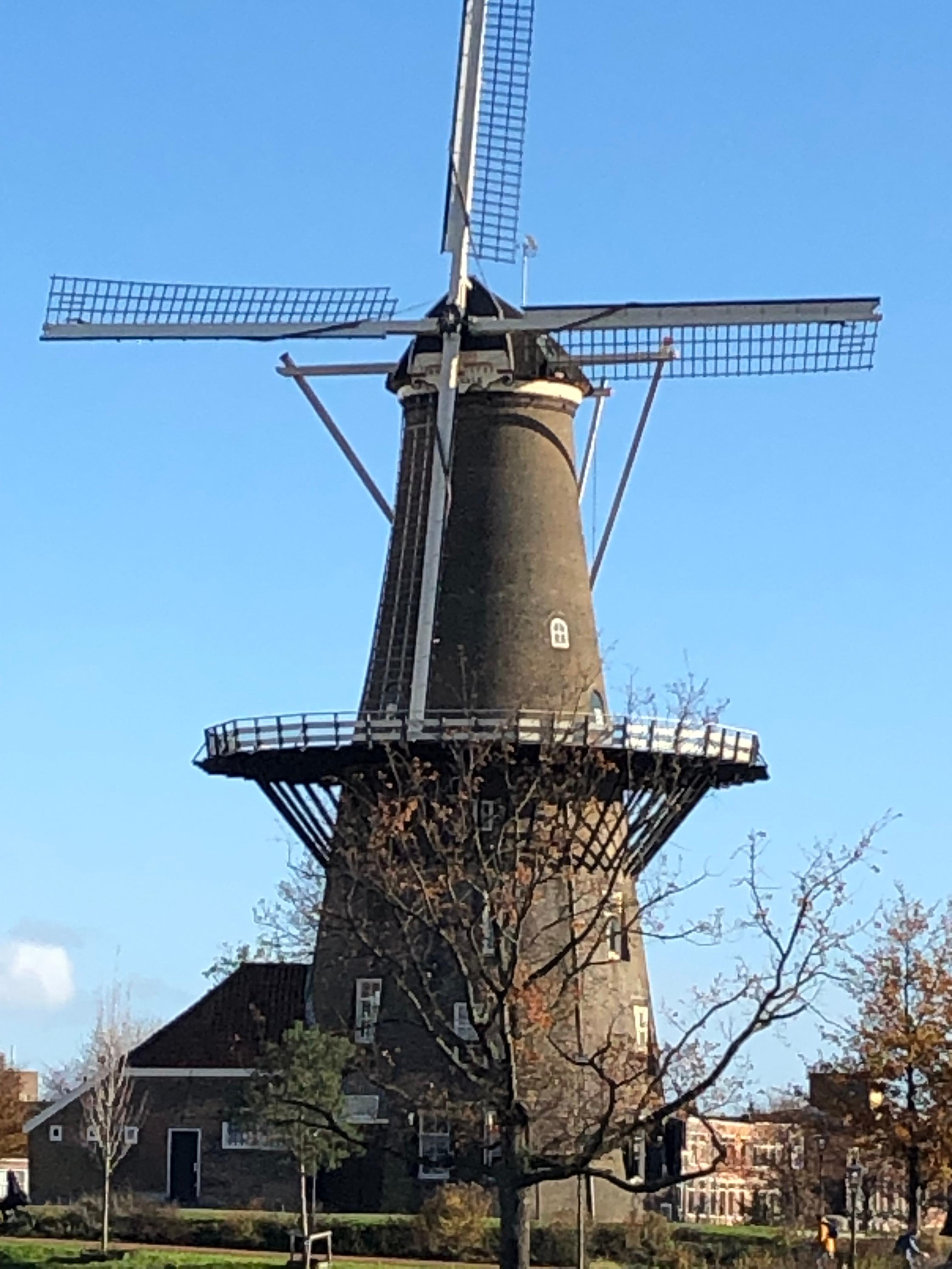 vindmølle i Leiden sentrum 