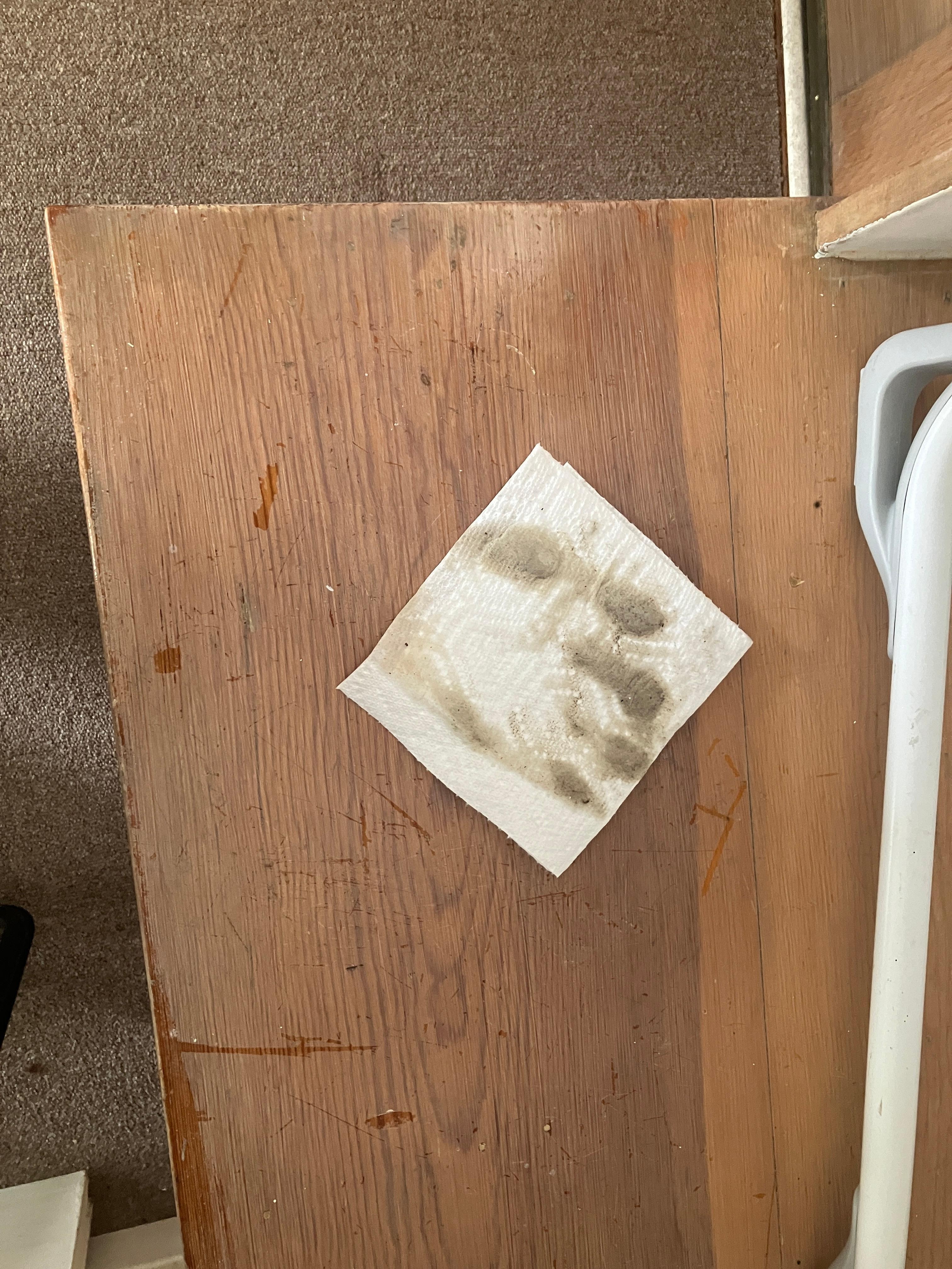 Rag after wiping down bench.  When I cleaned the table the rag looked similar. 