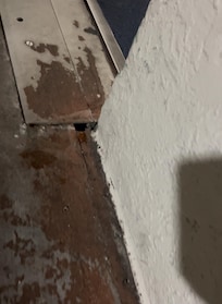 Cockroaches has the own rooms and hides spots