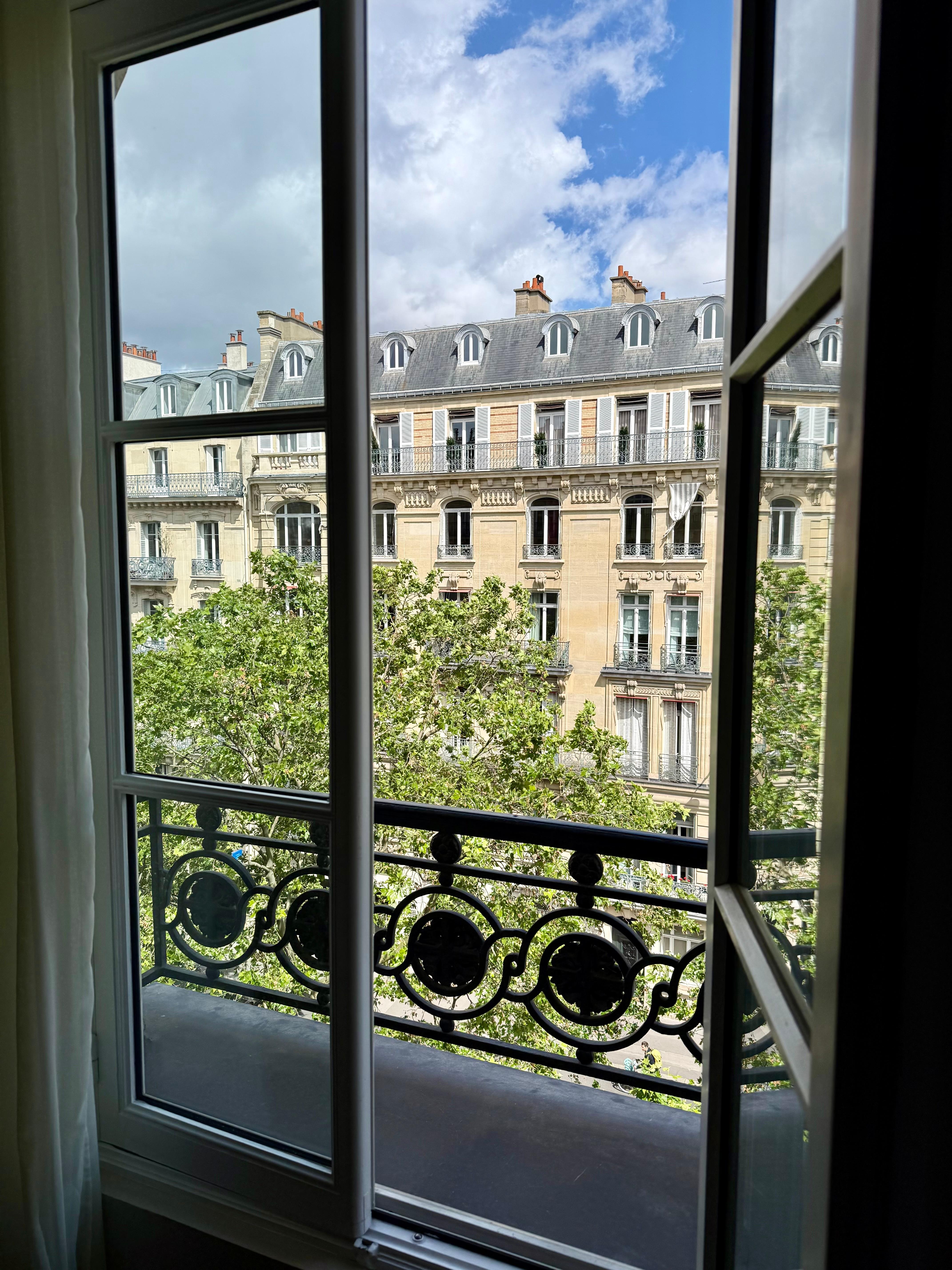 The view from my window. 