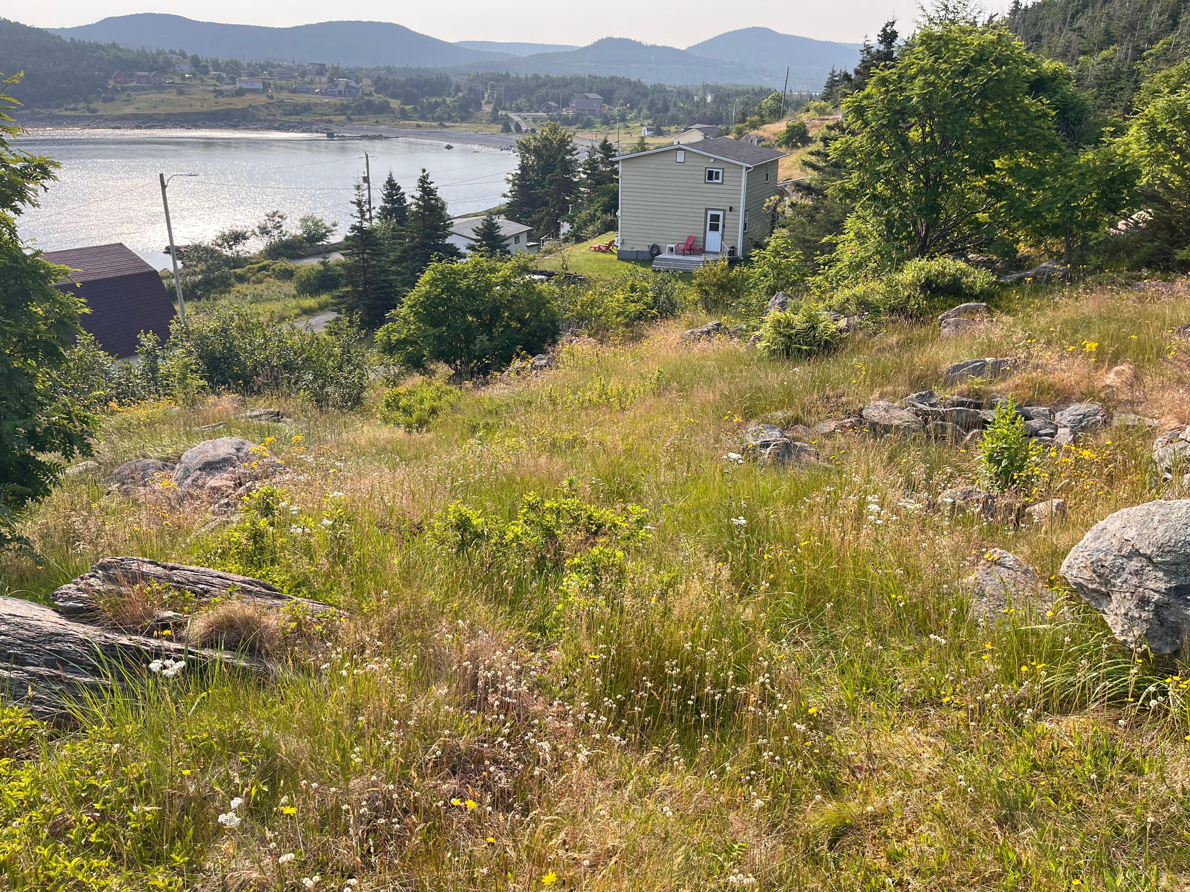 The house from the meadow above