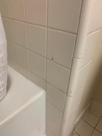 Cockroaches