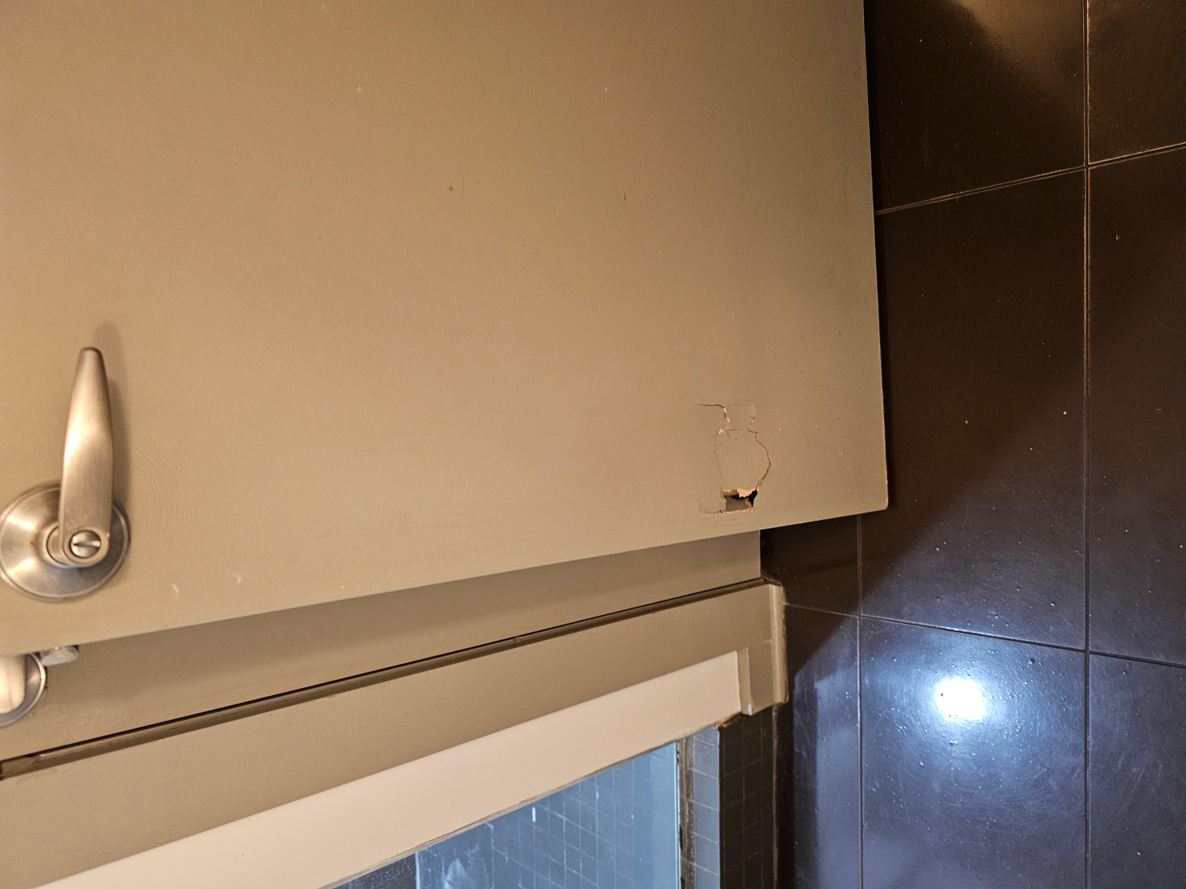 Bathroom door