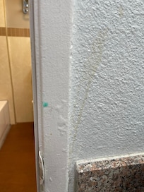 How could they not see the filth on the walls ?