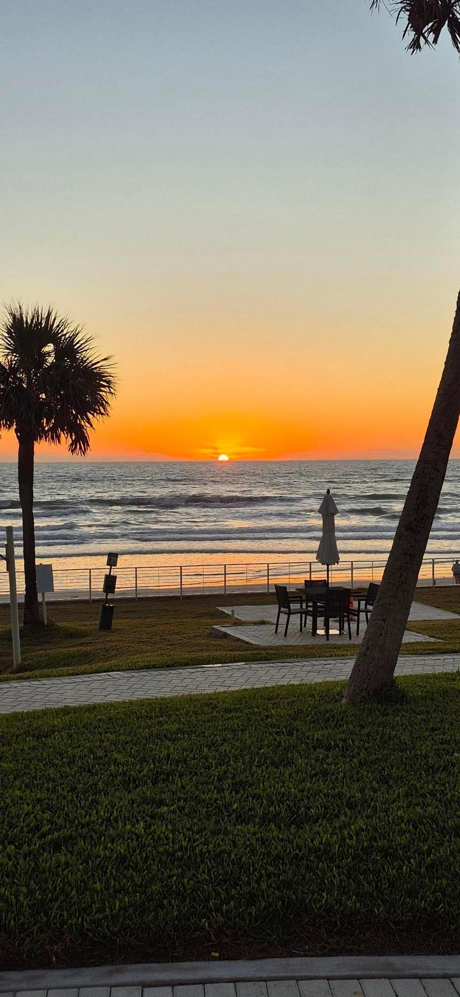 View from the room. This is why we live in FL.