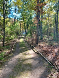 We enjoyed helping to clean up the trail