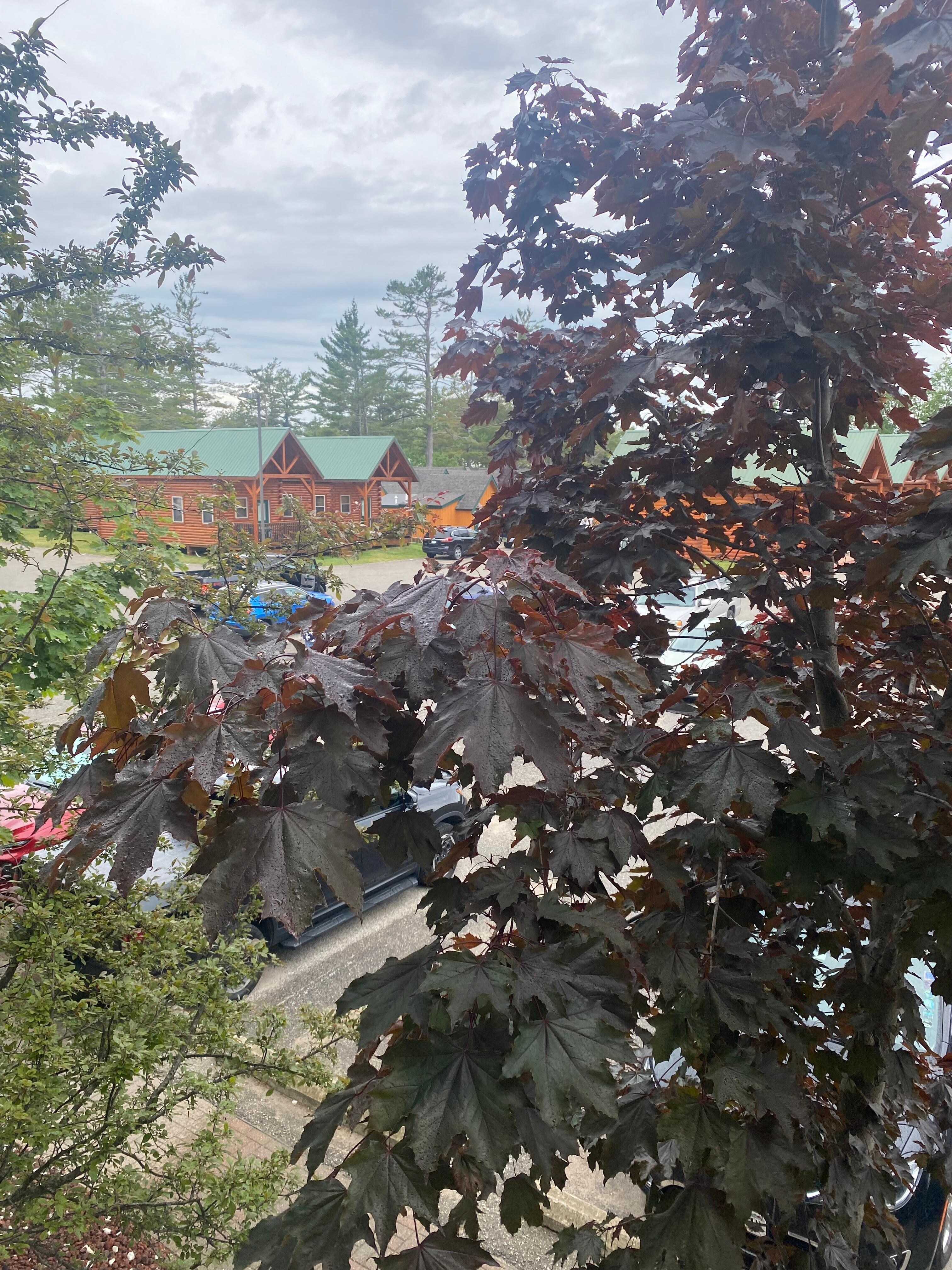 View from my lakeview balcony 