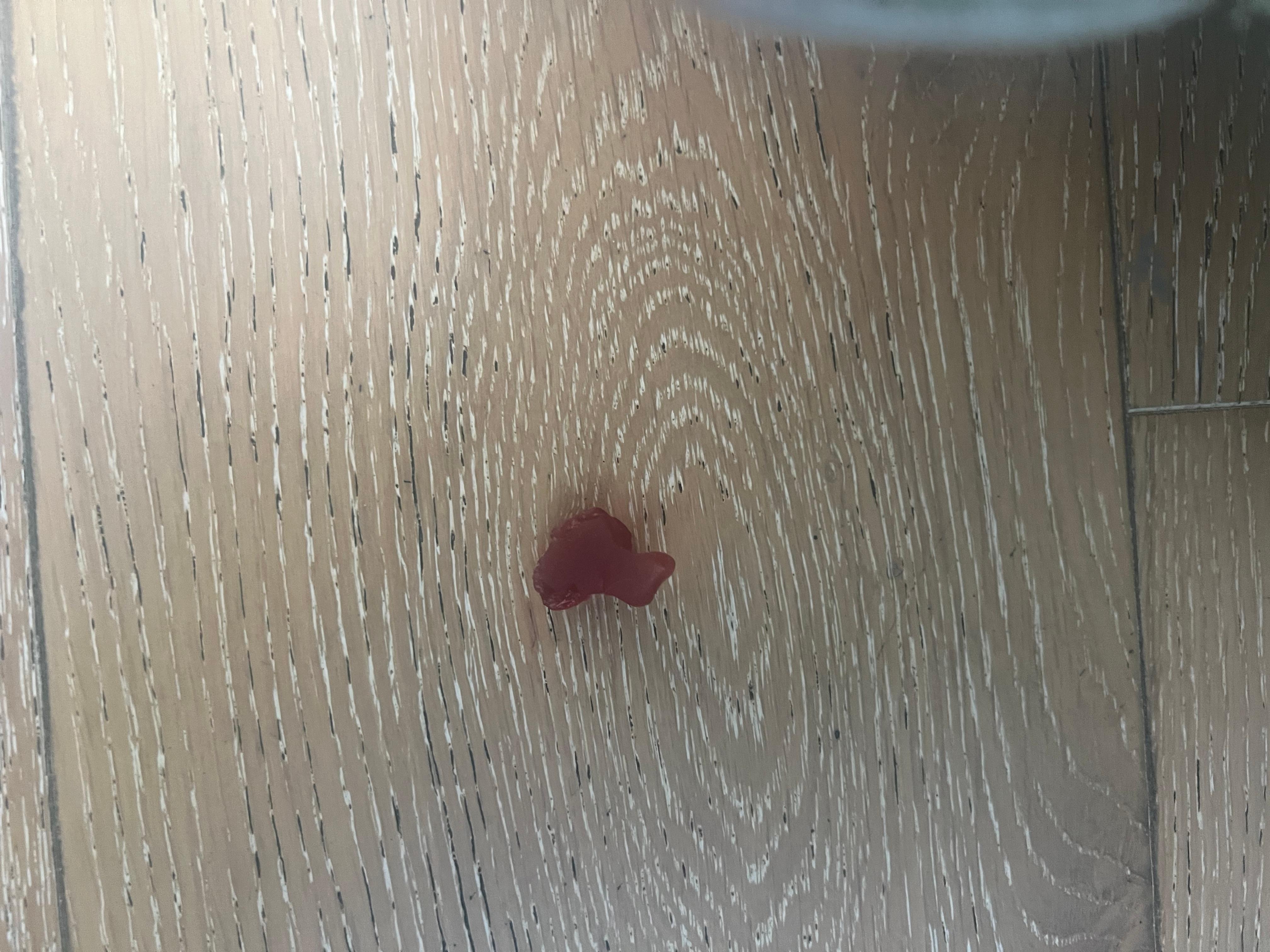 Gummy bear that my son knocked to the floor after finding it in his bed