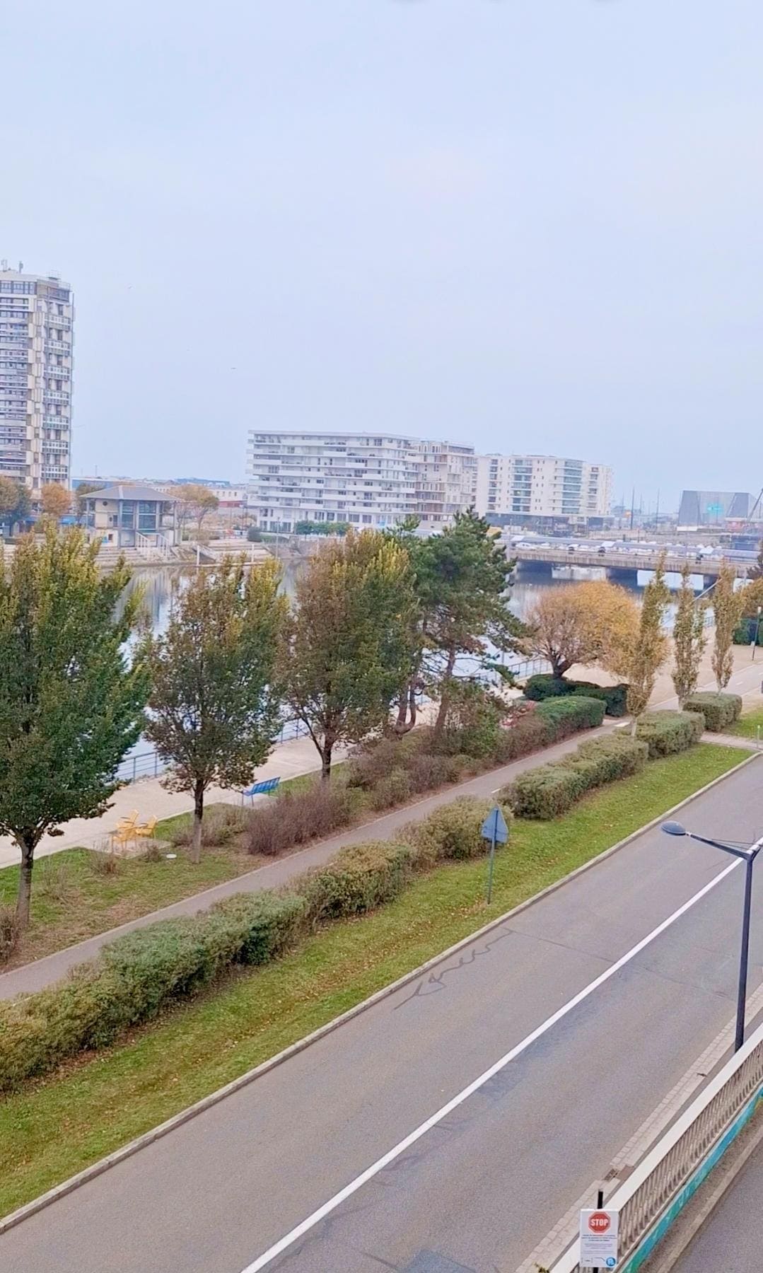 Beautiful view from my window 