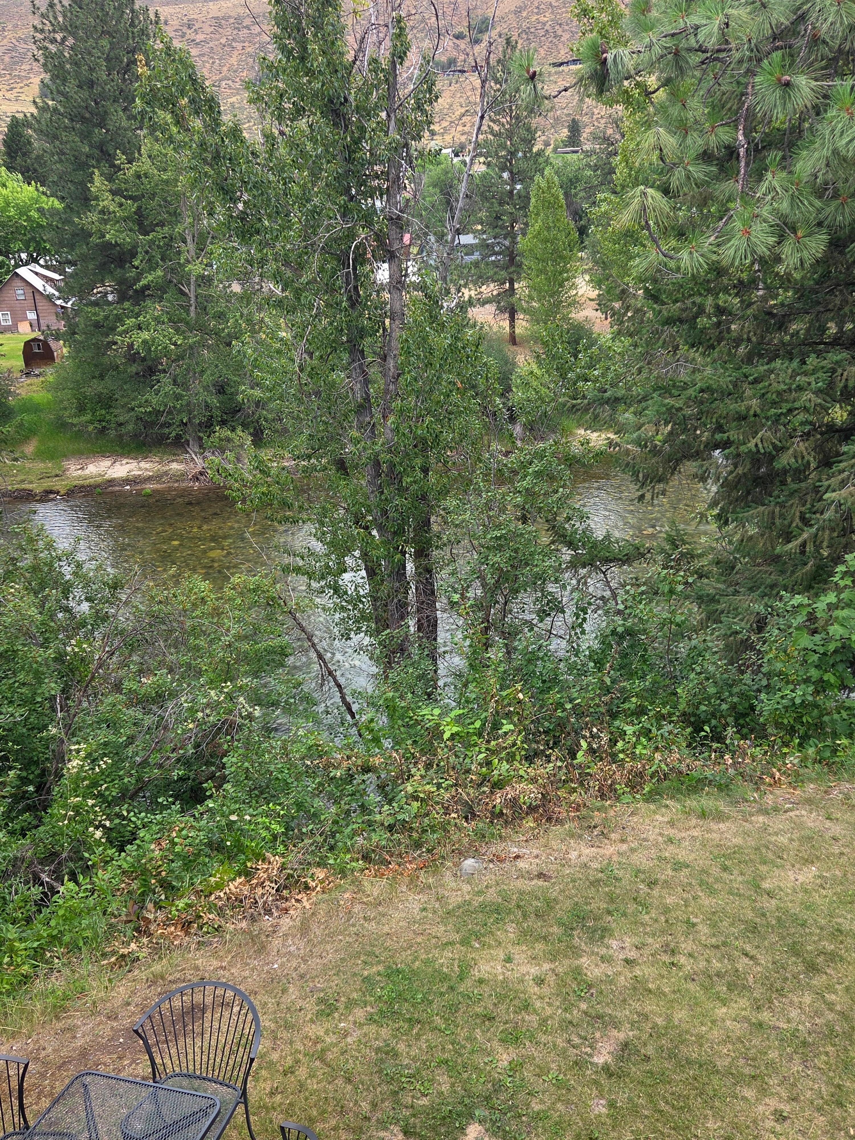 Views of the river. 