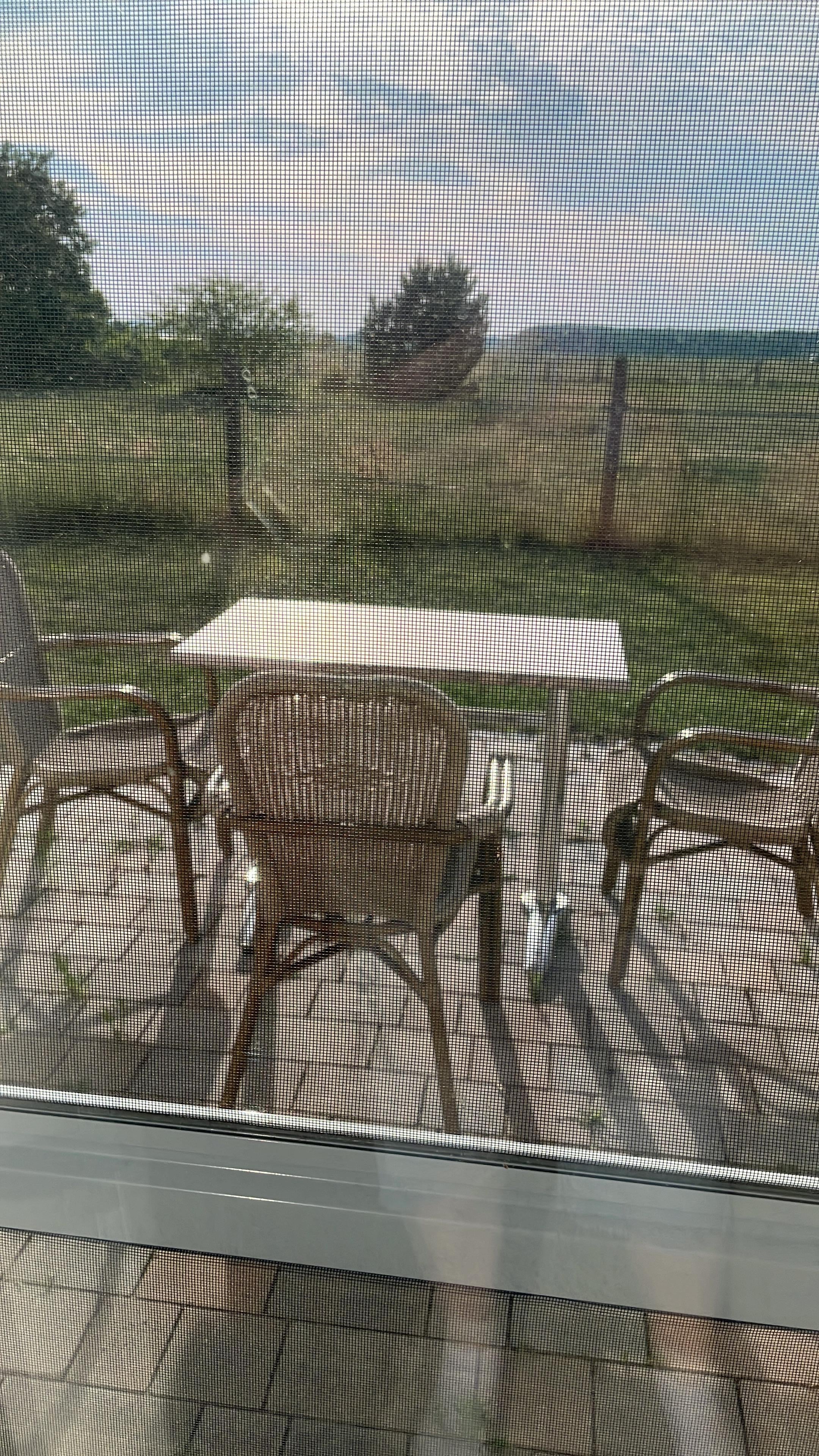 Terasse ohne Überdachung 