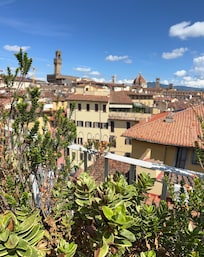 View from the terrace day