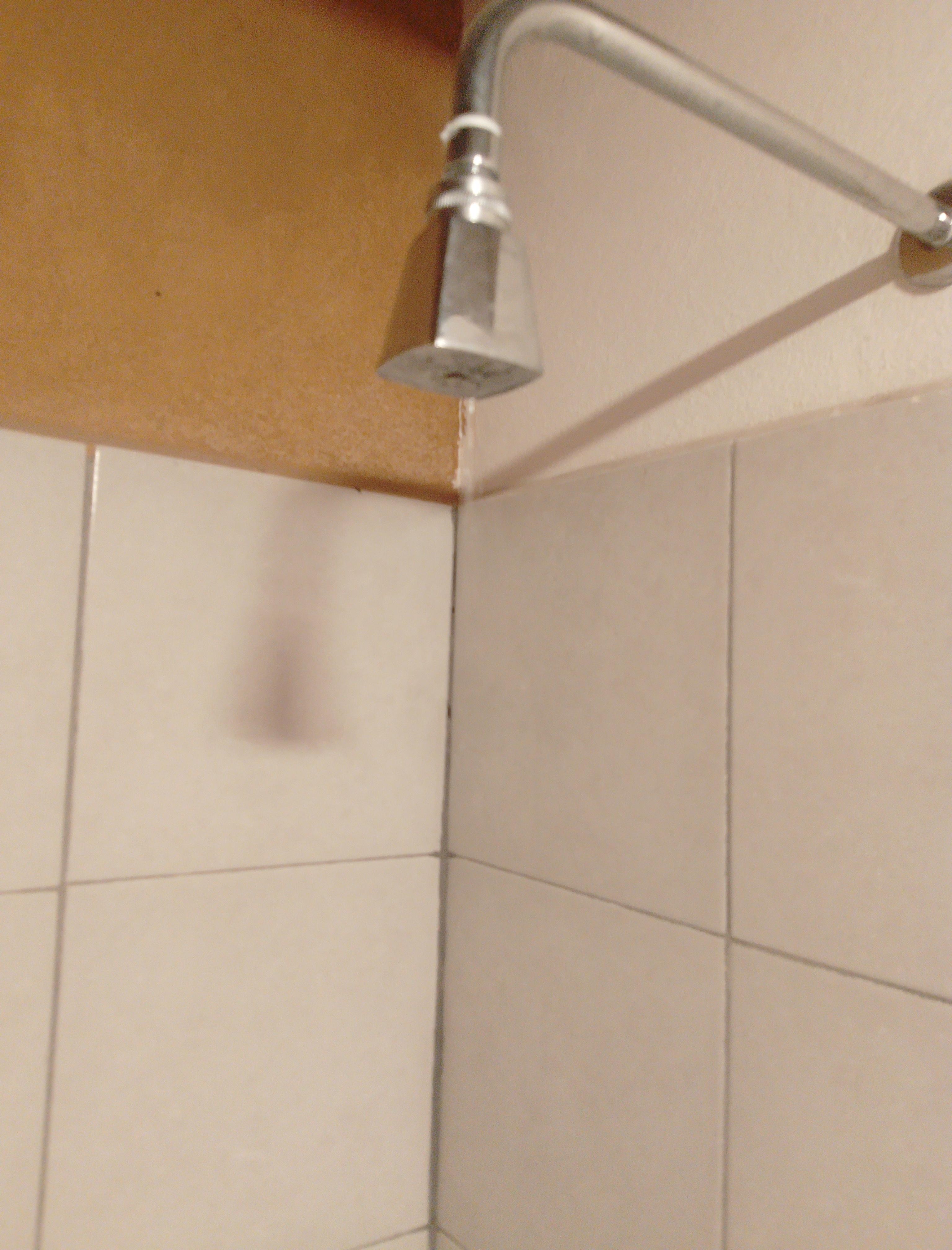 No tienen ni gota de agua, ni siquiera para poder beber