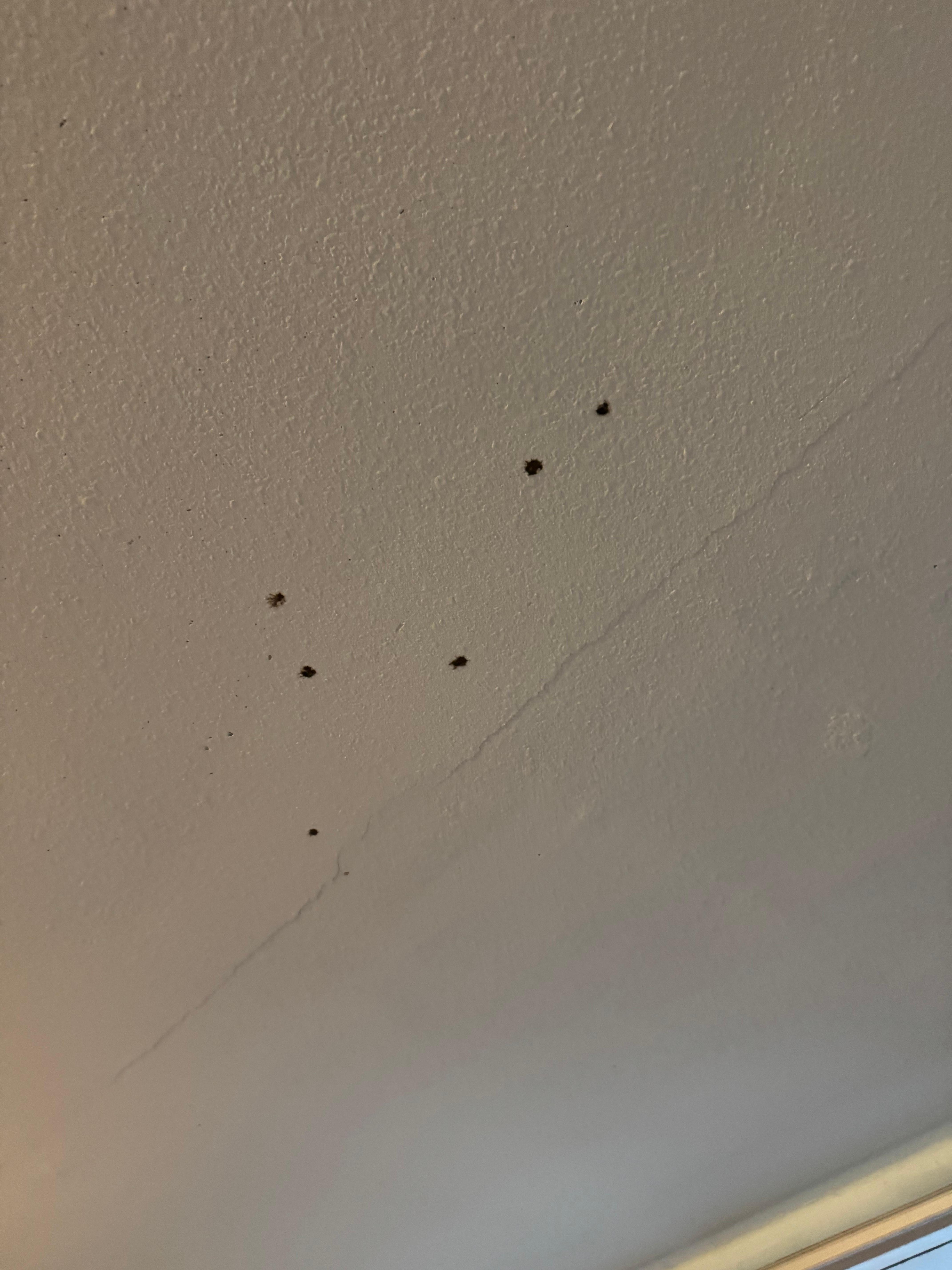 I’m not really sure what was in the ceiling. 